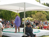 2016 - MortArboretumFrogs 0006 : Morton Arboritum, 2016 - Morton Frogs